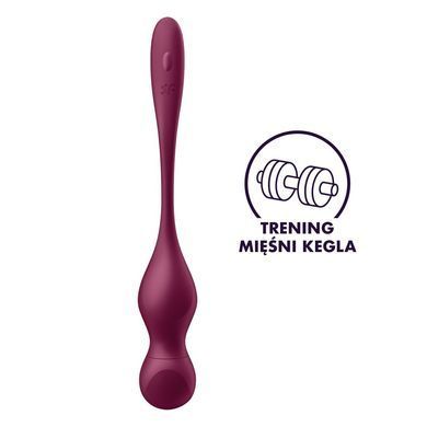 Смарт-вагінальні кульки з вібрацією Satisfyer Love Birds Vary Connect App, змінювана маса, пульт ДК SX1216 фото