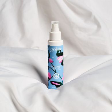 Антибактеріальний спрей для іграшок Goliate Nettoyant Sextoy 100 мл, безпечний для тіла SX3018 фото