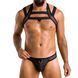 Комплект чоловічої білизни з кріпленнями Passion 043 JACOB L/XL Black, труси, шлейки SO7600 фото 1
