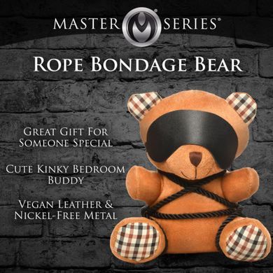 Плюшевий ведмедик ROPE Teddy Bear БДСМ у шкіряній масці та обв&rsquo;язці, 22x16x12 см SO9816 фото